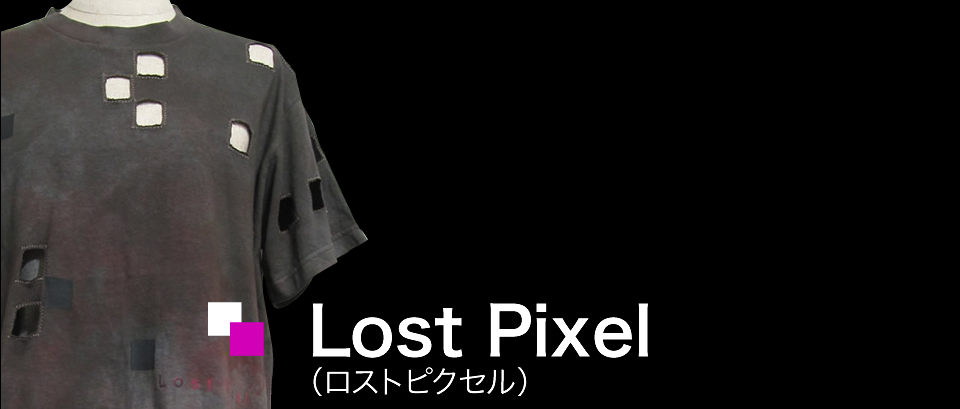 Lost Pixel(ロストピクセル)